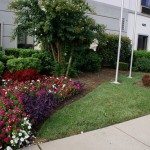 Flower Bed Installation by Office Entrance