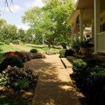 Flowers by a walkway