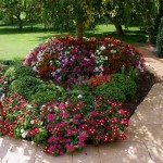 Garden with Impatiens