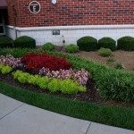 Landscaping by office building