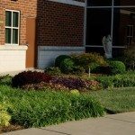 Landscaping by office building, side view