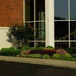 Flower bed by a building