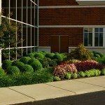 Landscaping by a building