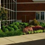 Landscaping by a building