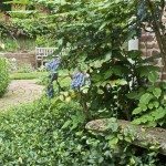 Close up of brick walkway and garden