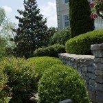 Landscaping by house, stonewall detail