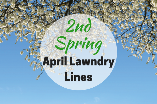 Nashville 2nd spring lawn care