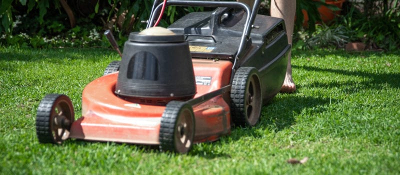 3 Advantages of Sharper Blades for Your Lawn Care Routine