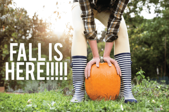 Fall Is Here