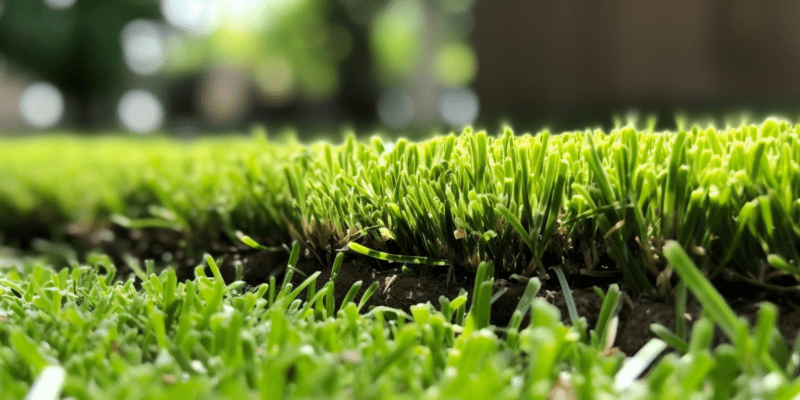 Turf Managers are experts at performing Nashville lawn aeration, an essential step for maintaining a healthy lawn.