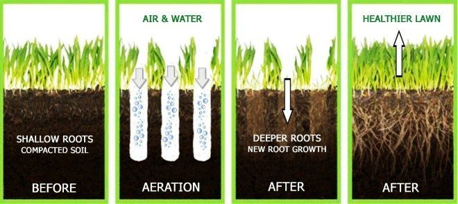 Aeration Diagram from the Lawn Institute