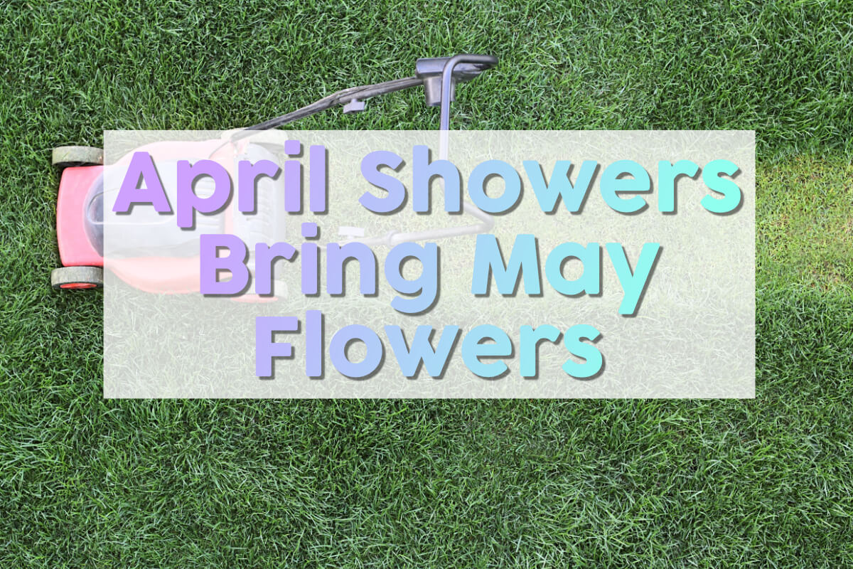 april showers flowers nashville