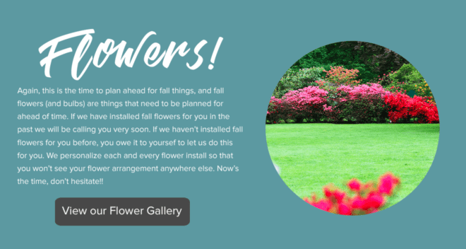 flower gallery