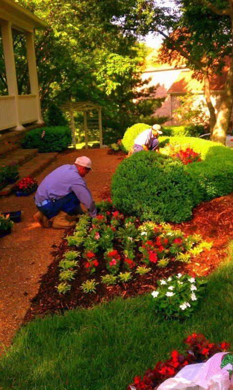 Flower Installation