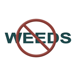 No weeds