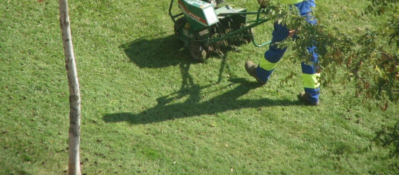 Lawn Aeration Services