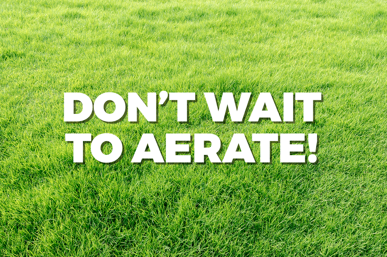 don’t wait to aerate