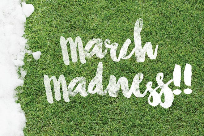turf managers lawn services