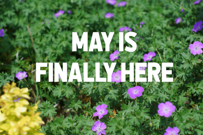 may flowers nashville
