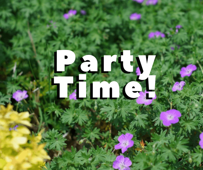 nashville lawn tips
