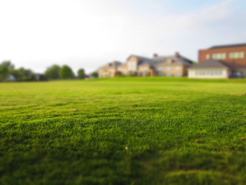 nashvilles-best-lawn-care-near-me