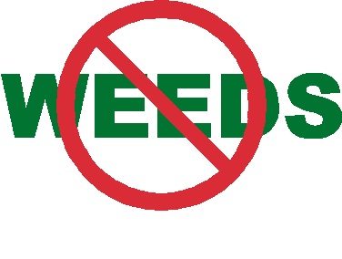 No Weeds