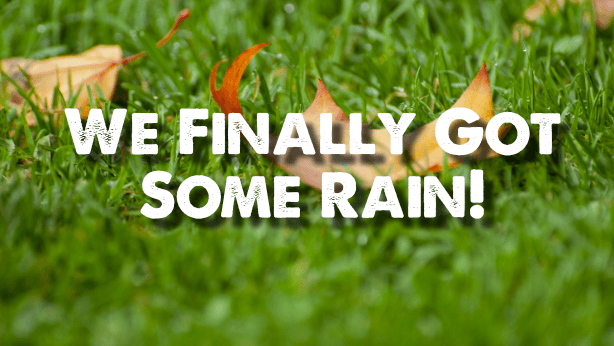 rain nashville lawncare