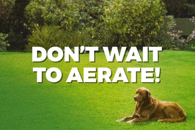 September Lawndry Lines 2019