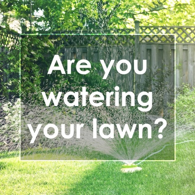 Watering Your Lawn