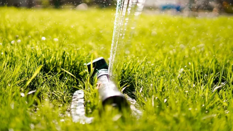 water your lawn