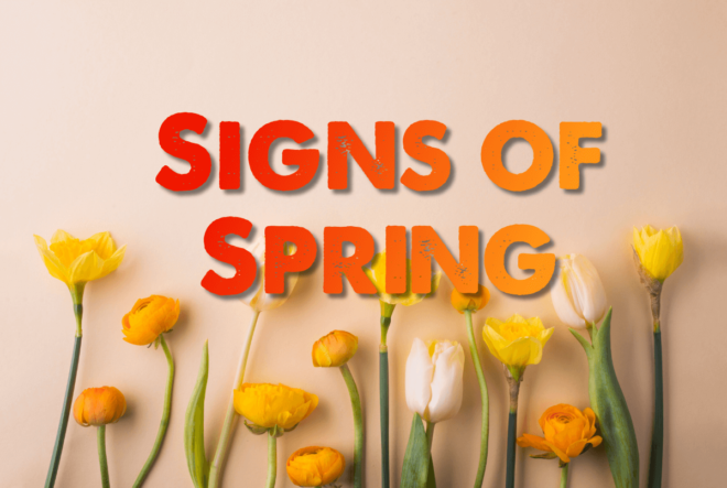 when is spring coming nashville